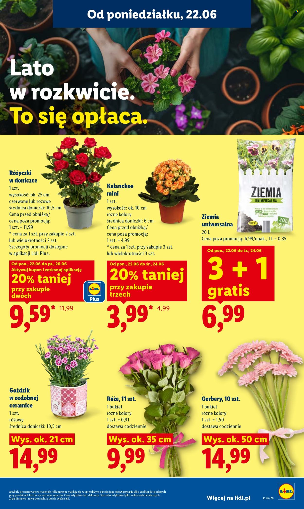 Gazetka Lidl - 22.06.2026 - 24.06.2026. Strona 87