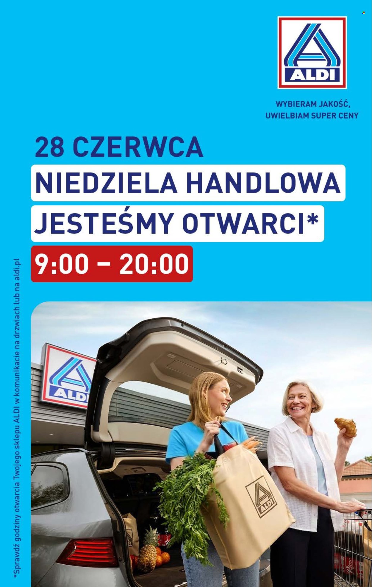 Gazetka ALDI - 22.06.2026 - 28.06.2026. Strona 41