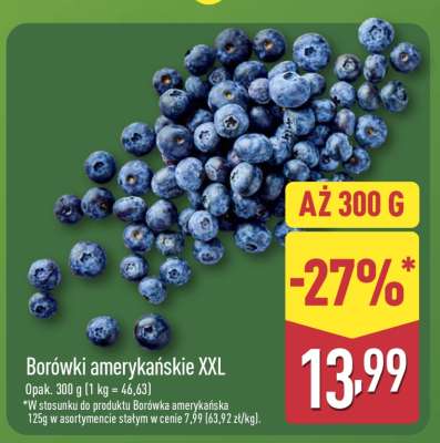 Borówki amerykańskie XXL