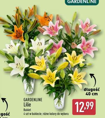 GARDENLINE Lilie