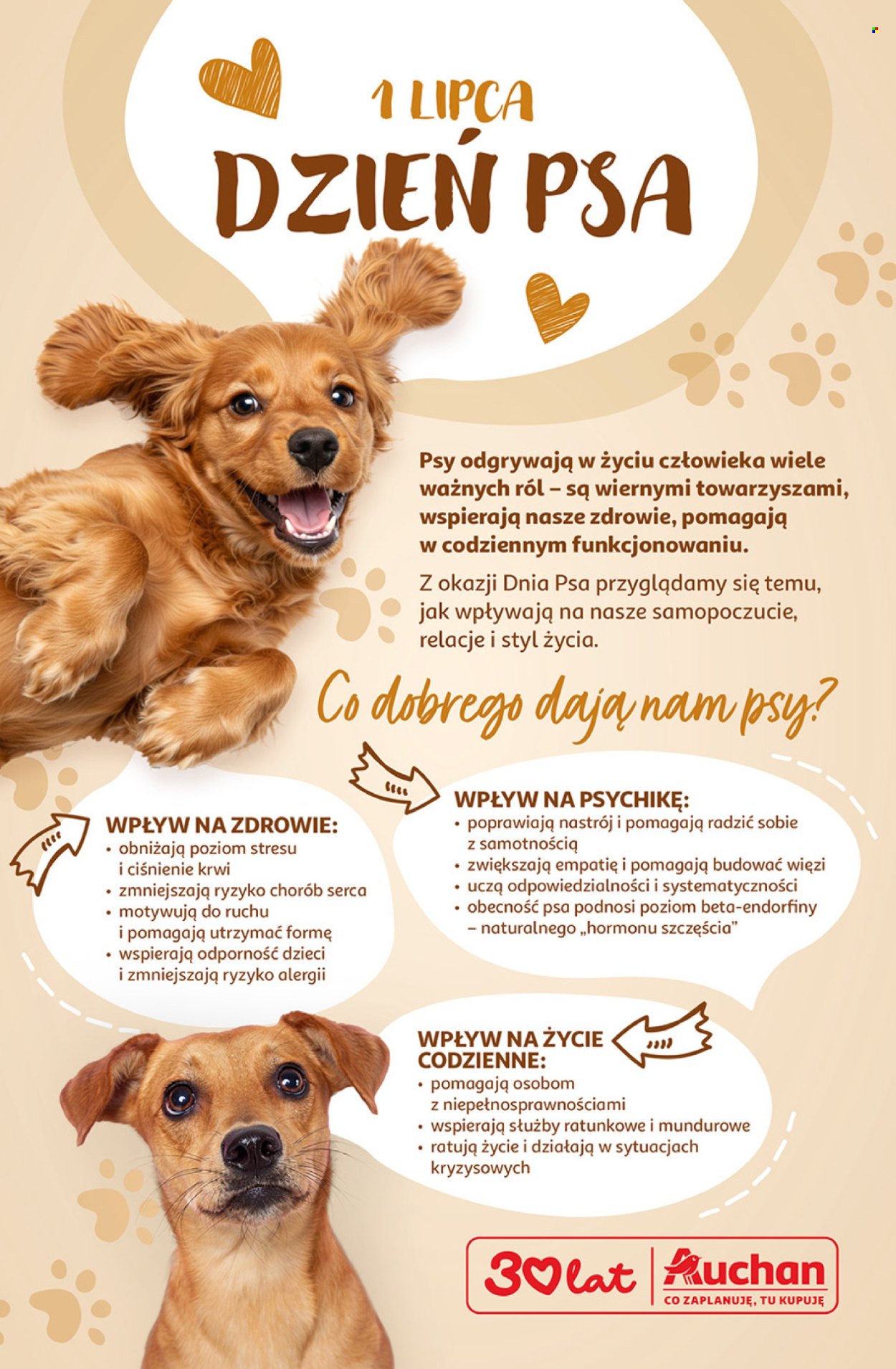 Gazetka Auchan - 25.06.2026 - 1.07.2026. Strona 44