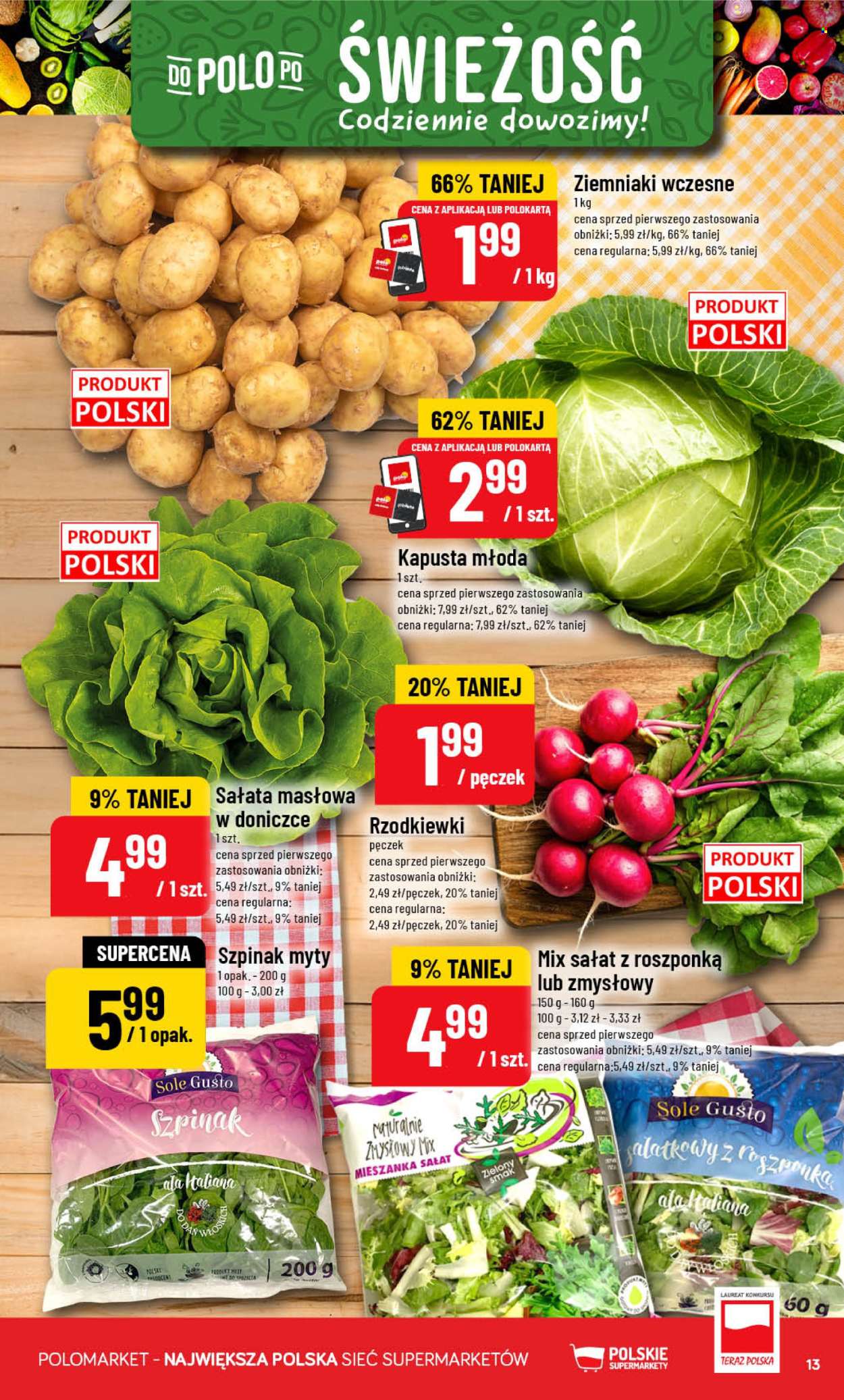 Gazetka Polomarket - 24.06.2026 - 30.06.2026. Strona 13