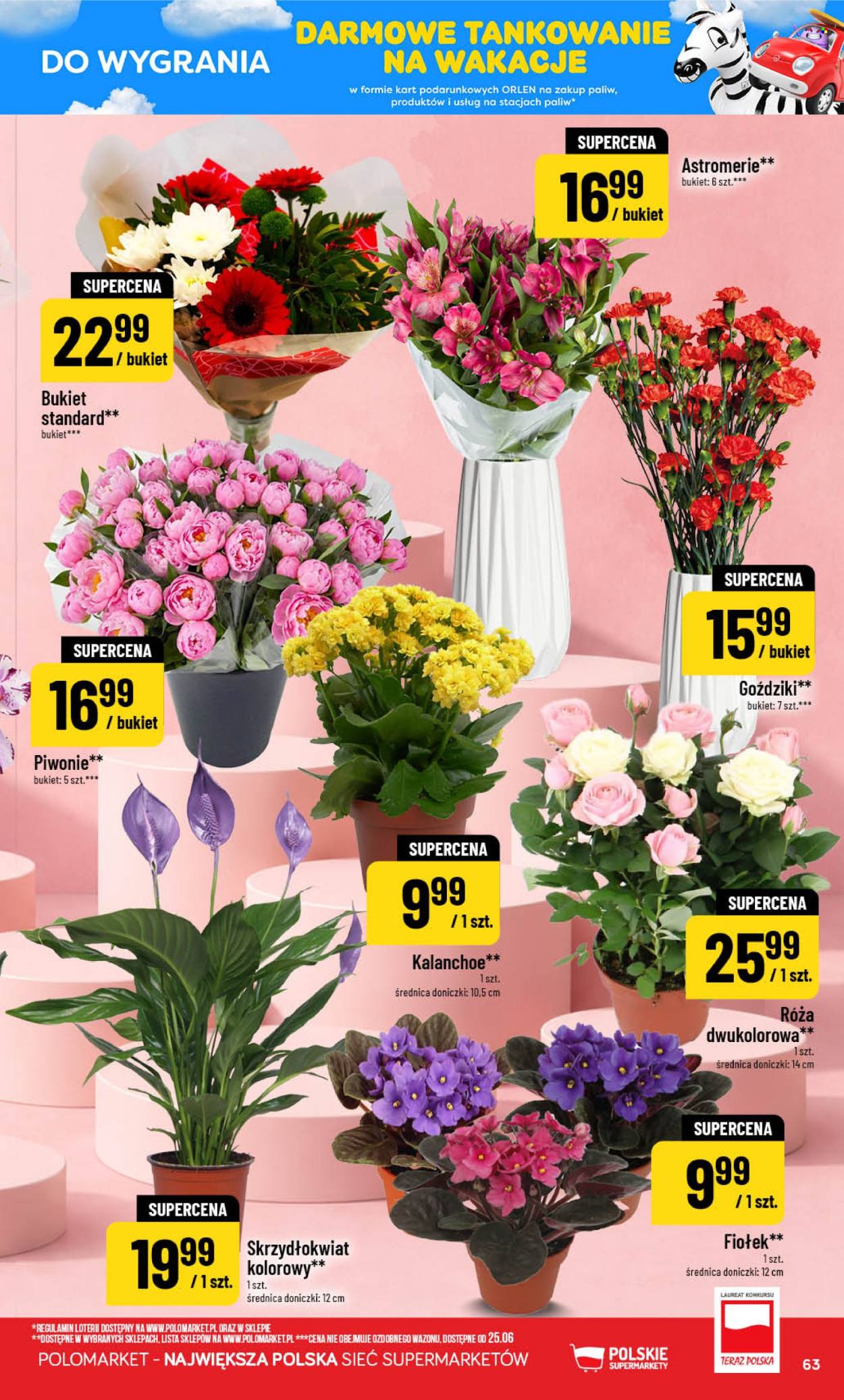 Gazetka Polomarket - 24.06.2026 - 30.06.2026. Strona 63