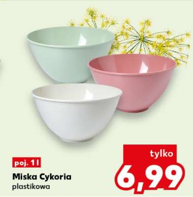 Miska cykoria
