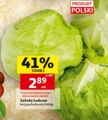 Sałata lodowa