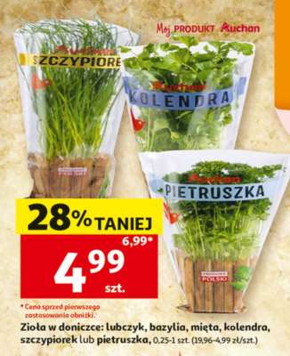 Zioła w doniczce