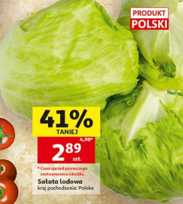Sałata lodowa
