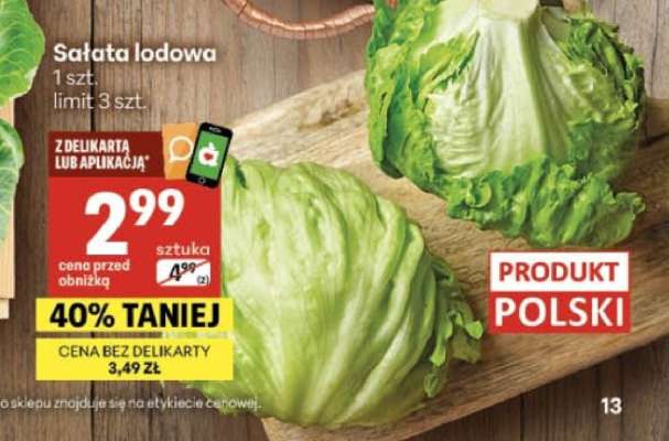 Sałata lodowa