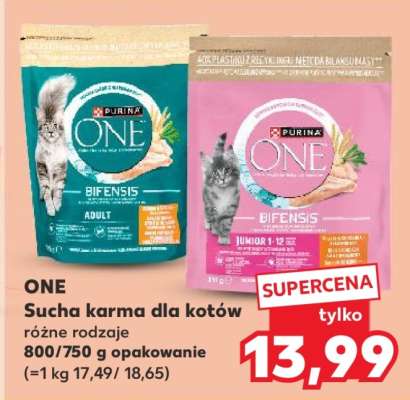 ONE Sucha karma dla kotów
