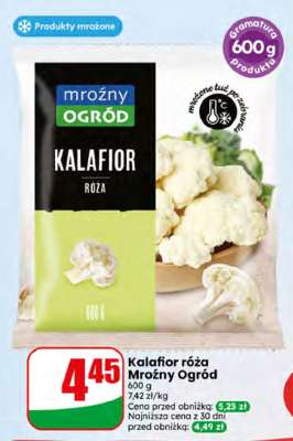 Kalafior róża Mroźny Ogród