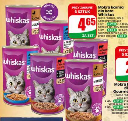 Mokra karma dla kota Whiskas