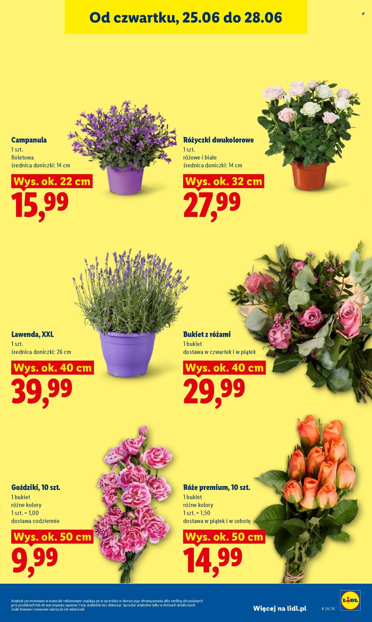 Leták Lidl - 25.6.2026 - 28.6.2026. Strana 41