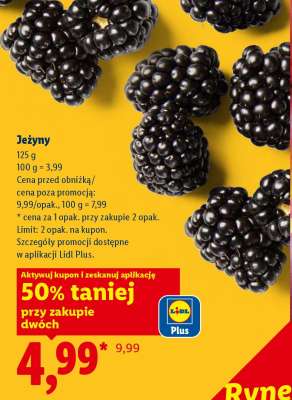 Jeżyny