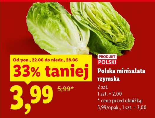 Polska minisałata rzymska