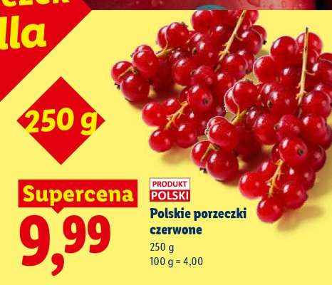 Polskie porzeczki czerwone
