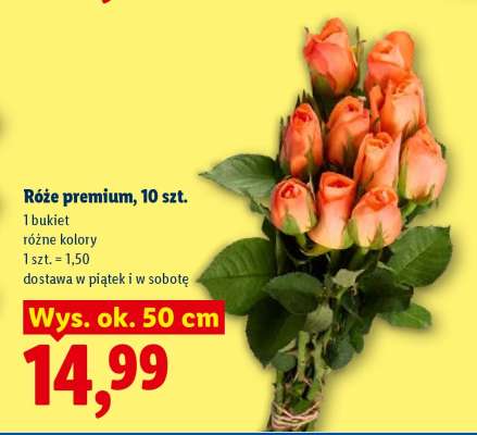 Róże premium, 10 szt.