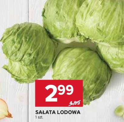 Sałata lodowa