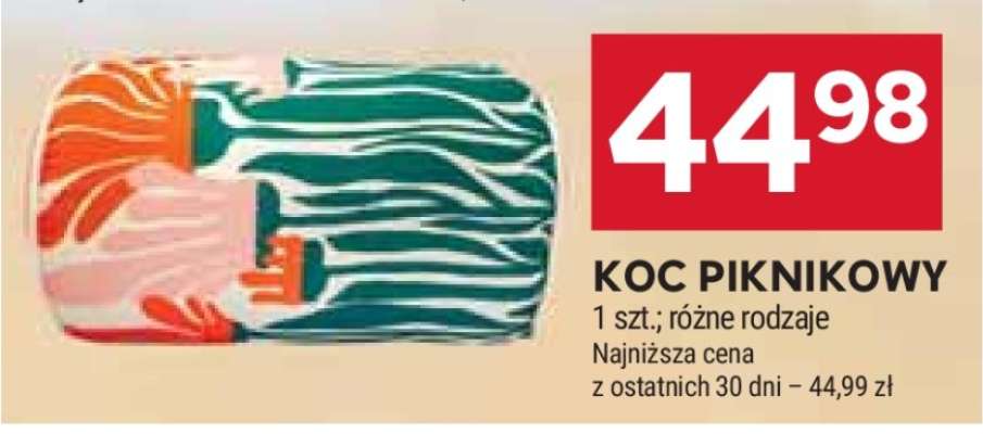 Koc piknikowy