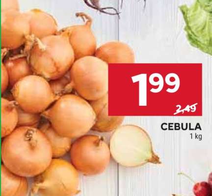 Cebula