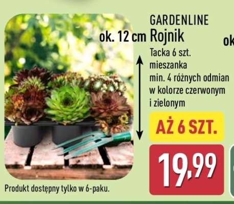 Rojnik