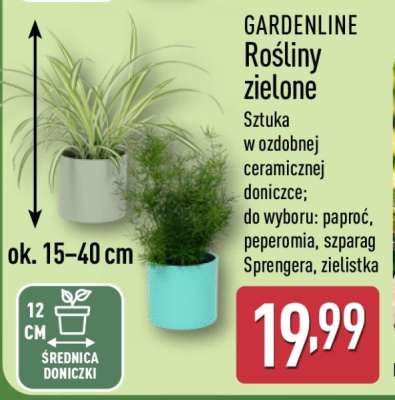 GARDENLINE Rośliny zielone
