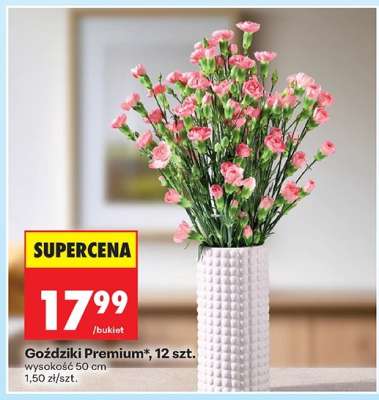 Goździki Premium, 12 szt.