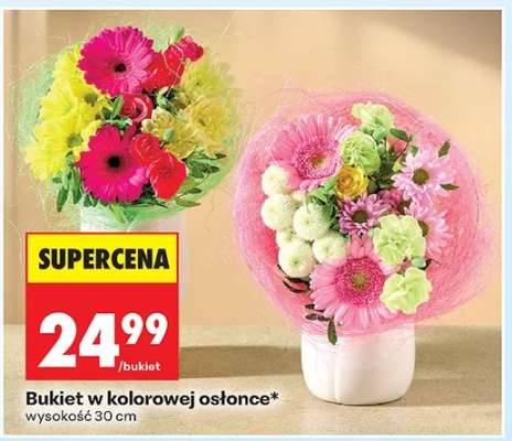 Bukiet w kolorowej osłonce