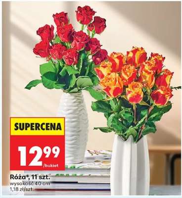 Róża 11 szt