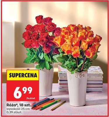 Róża, 18 szt.