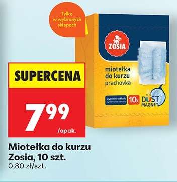 Miotełka do kurzu Zosia, 10 szt.