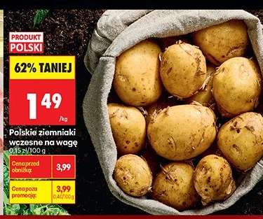 Polskie ziemniaki wczesne na wagę