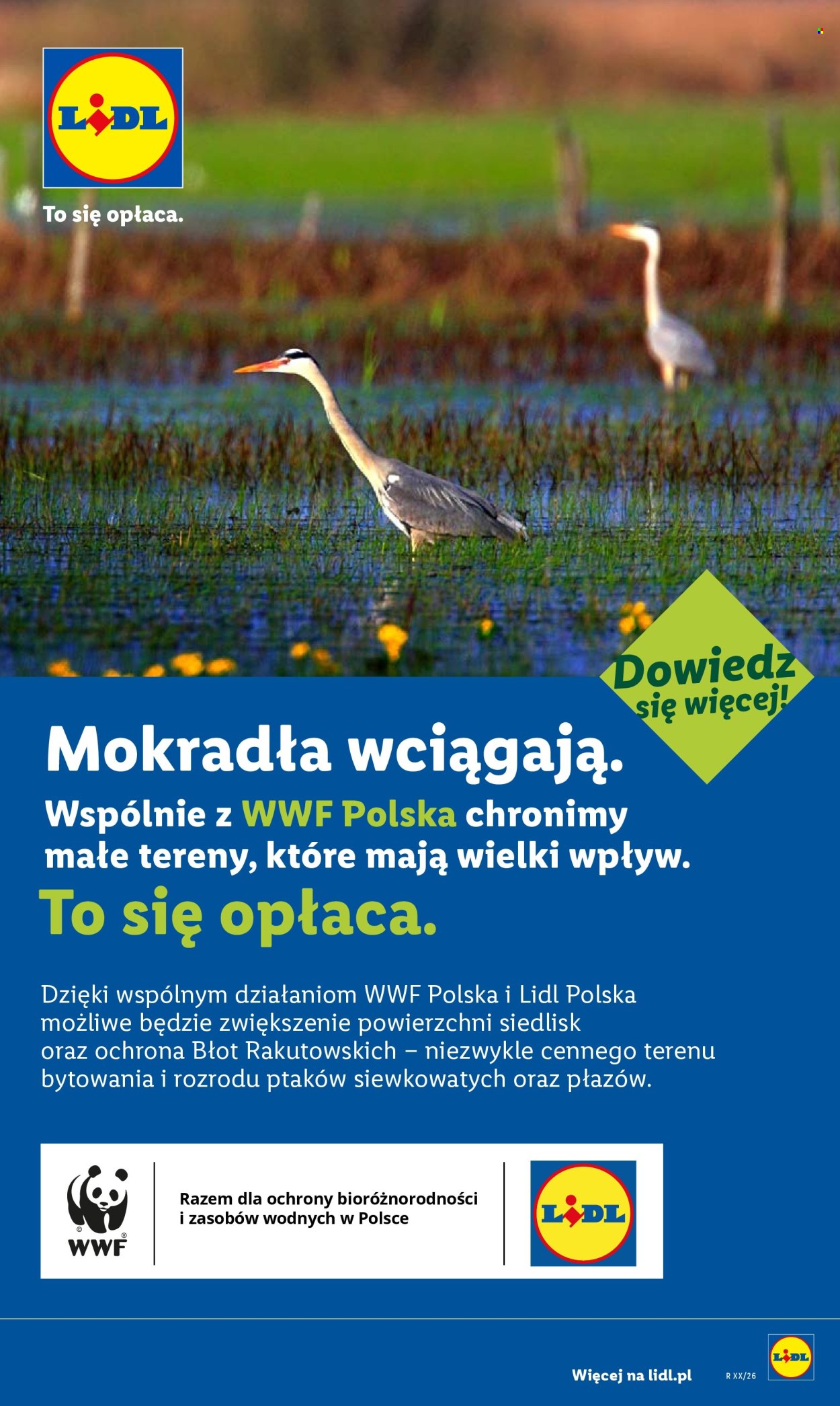 Leták Lidl - 6.7.2026 - 11.7.2026. Strana 60