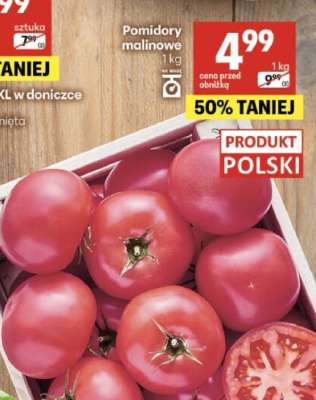 Pomidor malinowy
