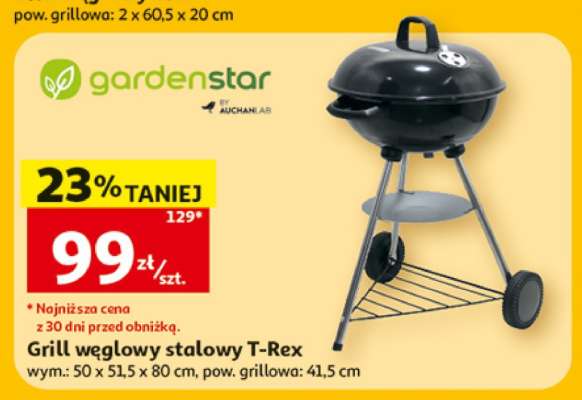 Grill węglowy stalowy T-Rex