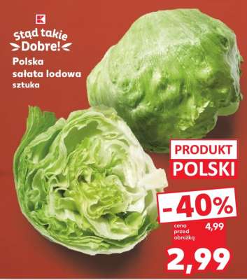 Polska sałata lodowa sztuka