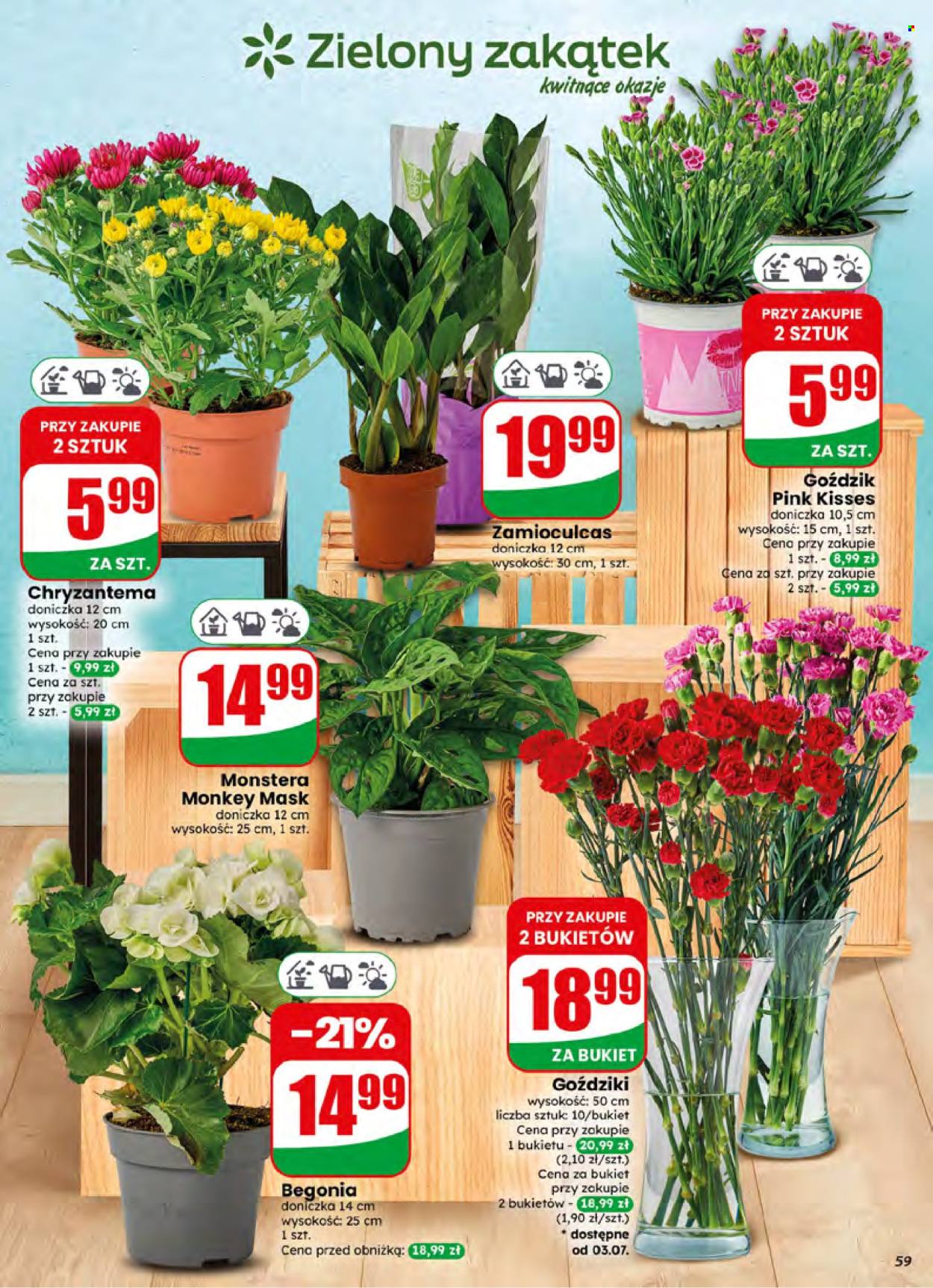Gazetka Dino - 1.07.2026 - 7.07.2026. Strona 59