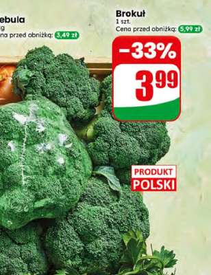 Brokuł