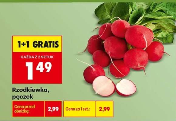 Rzodkiewka pęczek