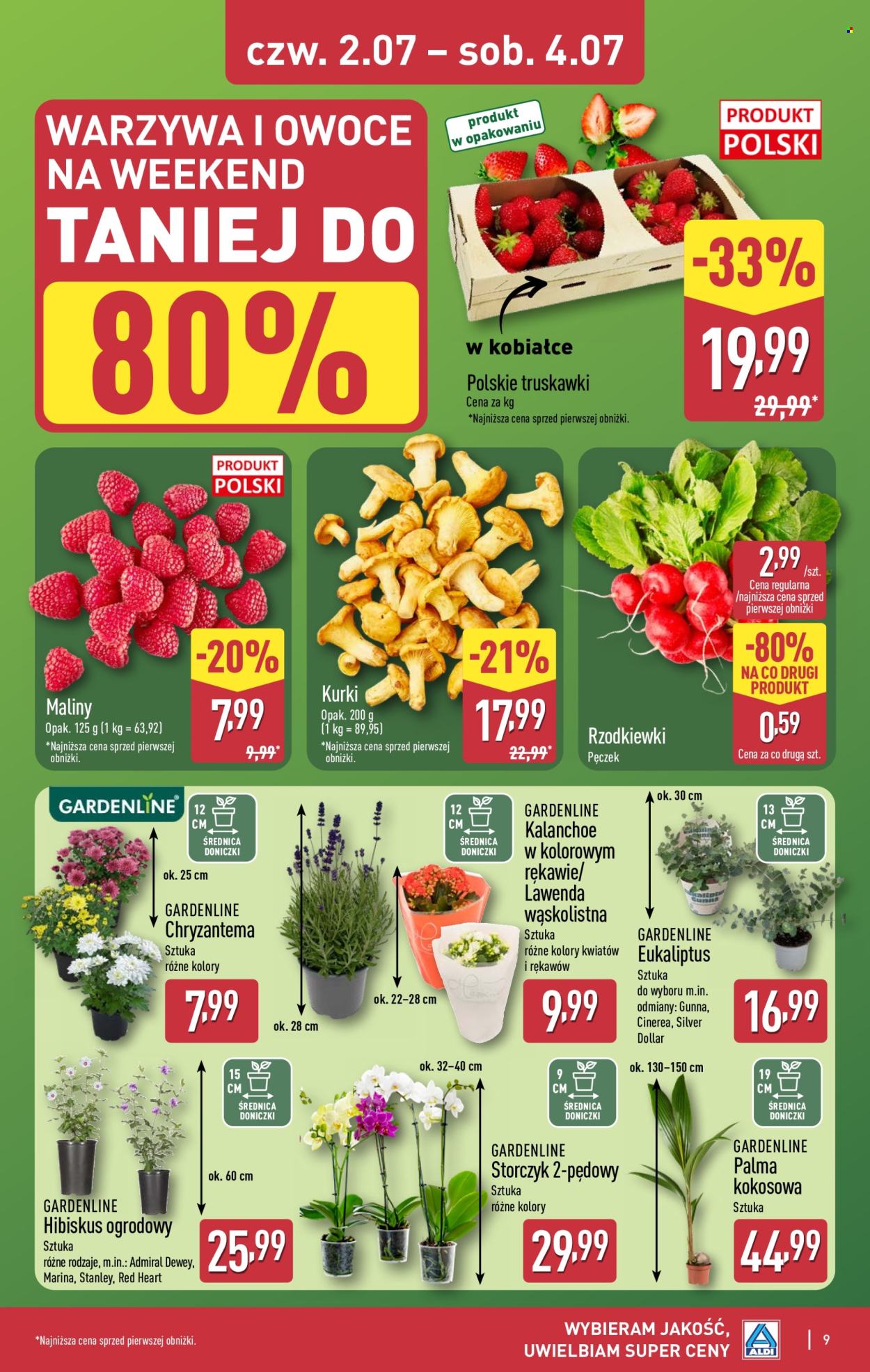 Gazetka ALDI - 2.07.2026 - 4.07.2026. Strona 9