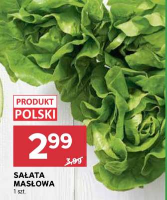 Sałata masłowa