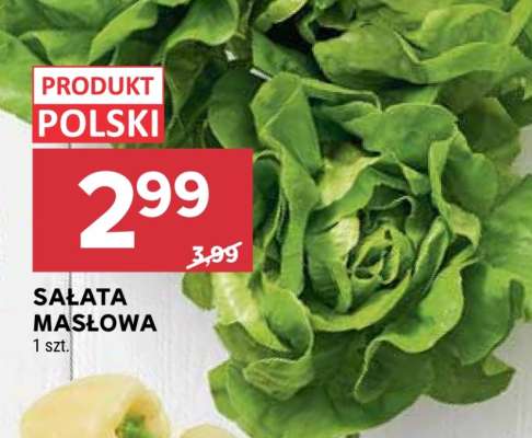 Sałata masłowa