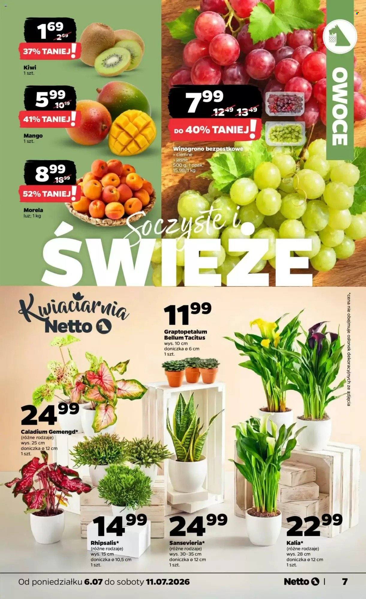 Gazetka Netto - 6.07.2026 - 11.07.2026. Strona 7