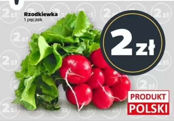 Rzodkiewka
