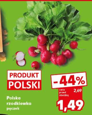 Polska rzodkiewka pęczek