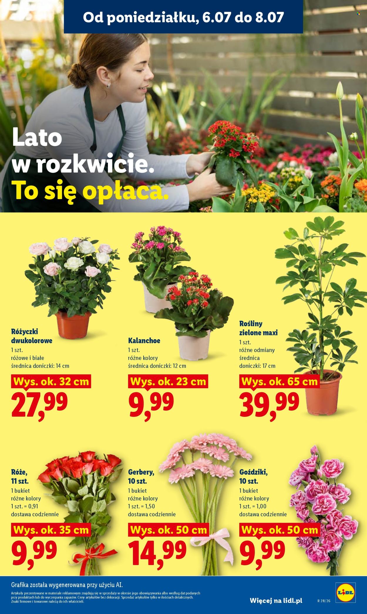 Gazetka Lidl - 6.07.2026 - 8.07.2026. Strona 87