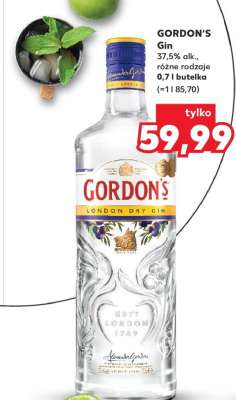 GORDON'S Gin