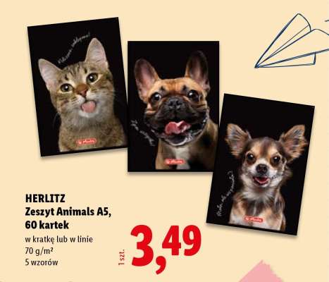 HERLITZ Zeszyt Animals A5, 60 kartek