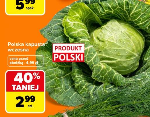 Polska kapusta wczesna