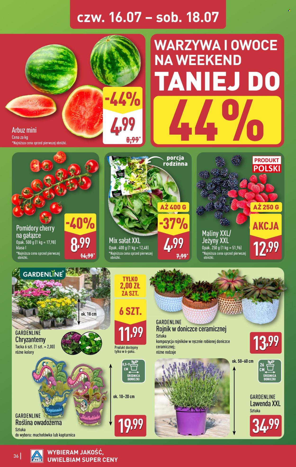 Leták ALDI - 13.7.2026 - 18.7.2026. Strana 36
