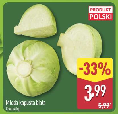 Młoda kapusta biała
